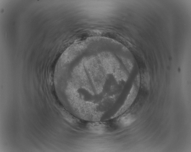 X0000067360331200604281731