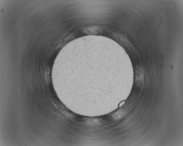 X0000067360332200604281731