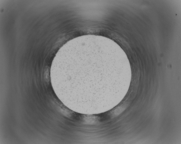 X0000067360336200604281731
