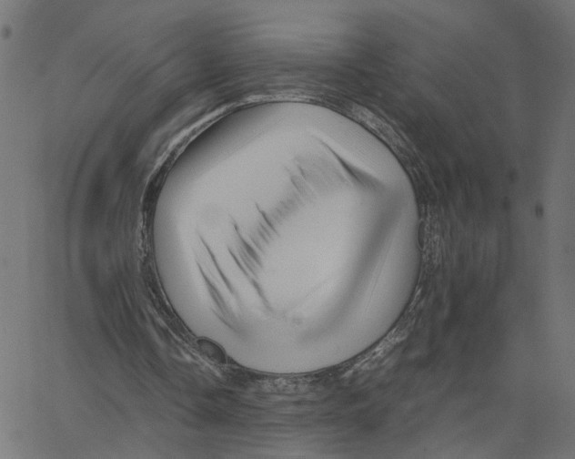 X0000067360338200604281731