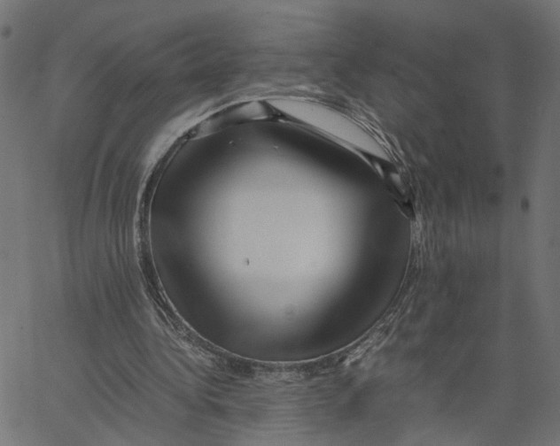 X0000067360340200604281731