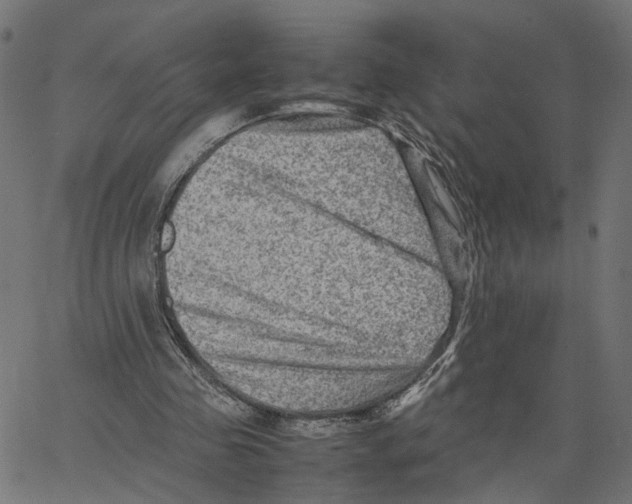 X0000067360341200604281731