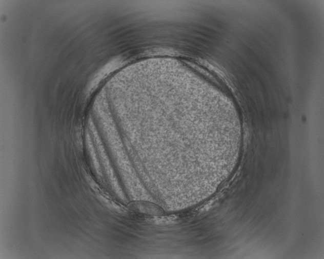X0000067360345200604281731