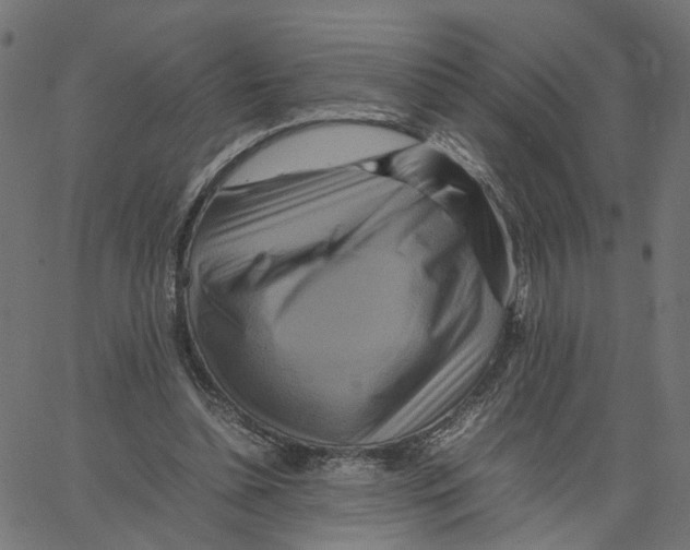X0000067360348200604281731