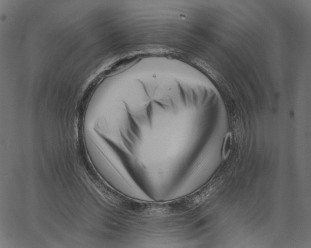 X0000067360350200604281731