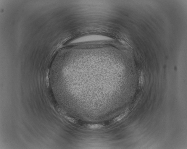 X0000067360360200604281731