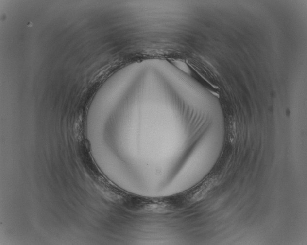 X0000067360364200604281731