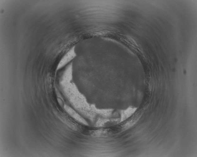 X0000067360366200604281731