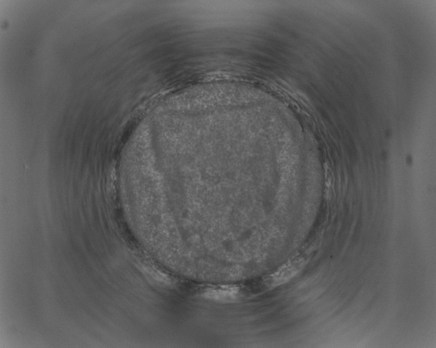 X0000067360369200604281731