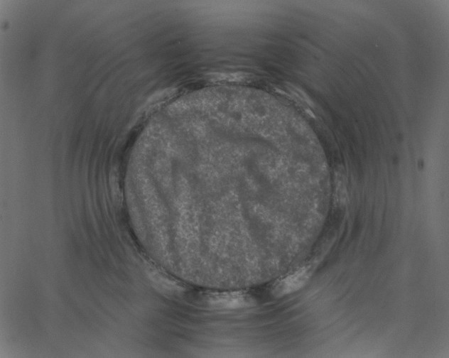 X0000067360377200604281731