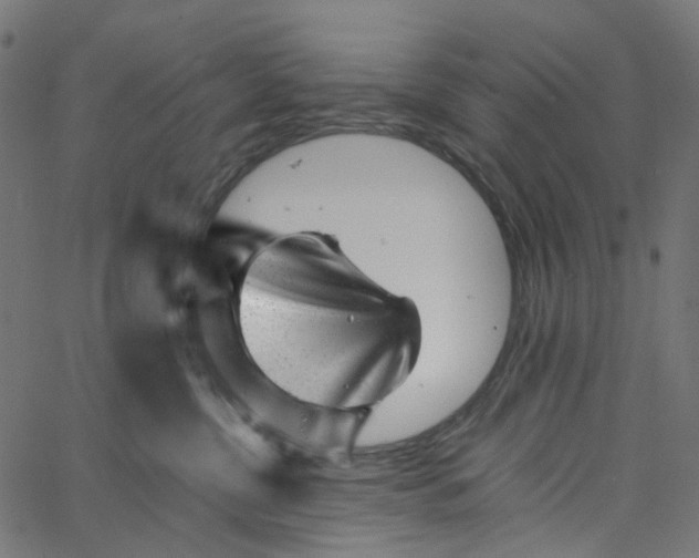 X0000067360380200604281731