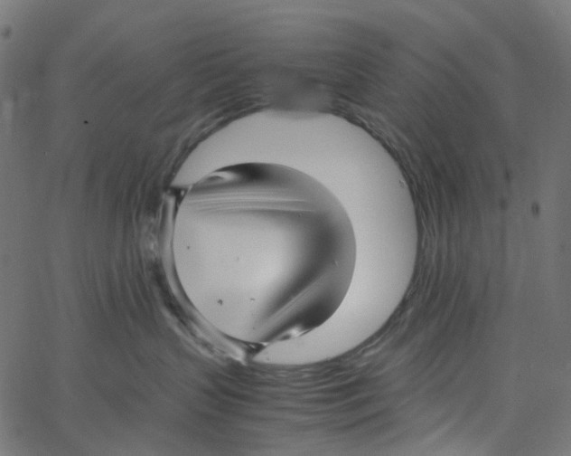 X0000067360383200604281731