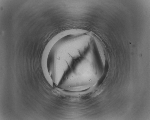 X0000067360384200604281731