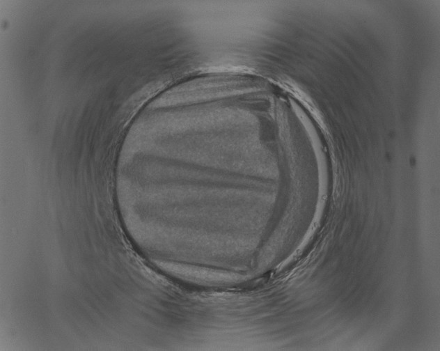 X0000067360385200604281731