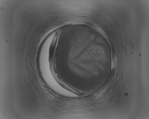 X0000067360387200604281730