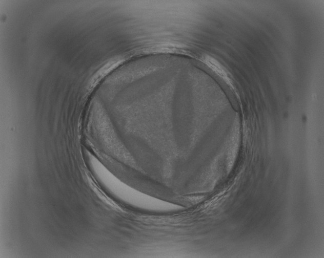 X0000067360389200604281730