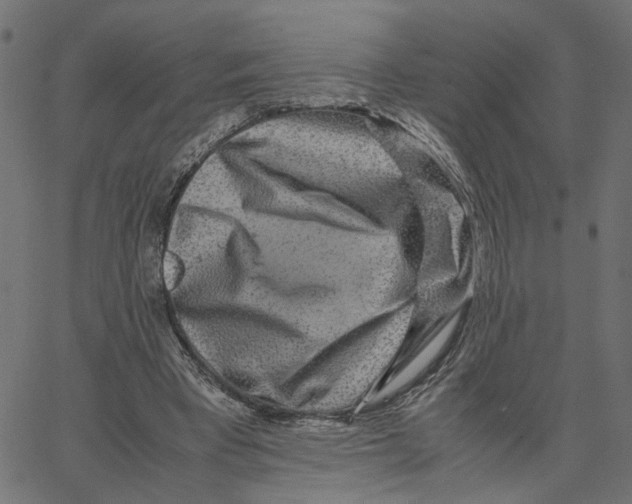 X0000067360393200604281730