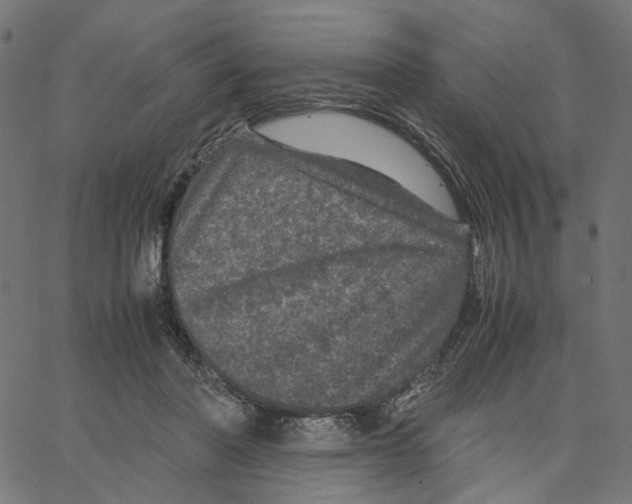X0000067360406200604281730