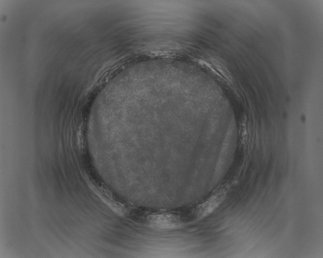 X0000067360408200604281730