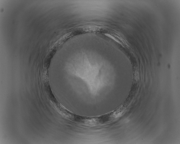X0000067360411200604281730