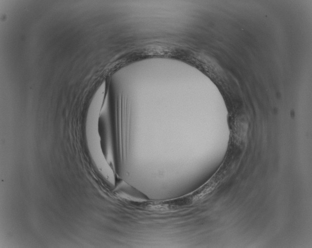 X0000067360413200604281730