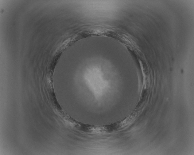 X0000067360415200604281730