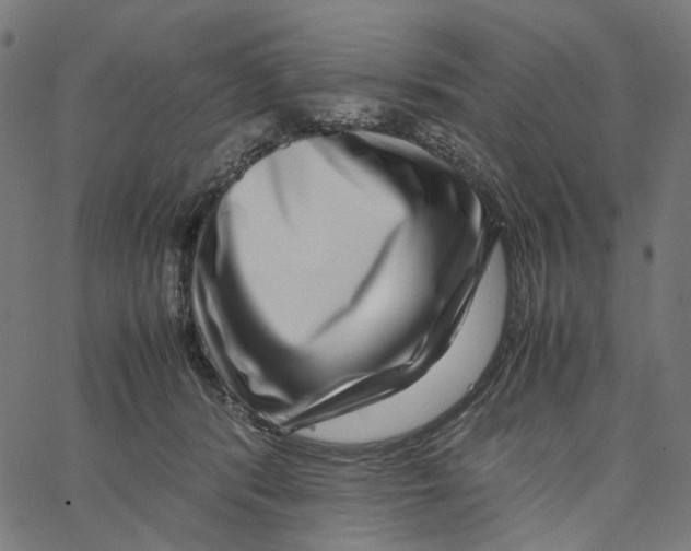 X0000067360416200604281730
