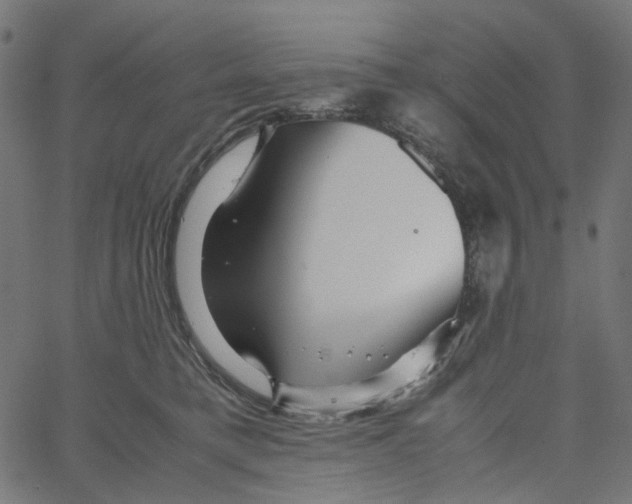 X0000067360421200604281730