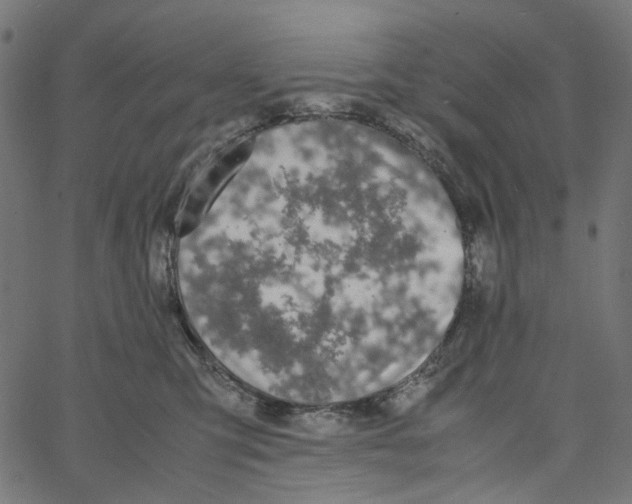 X0000067360423200604281730