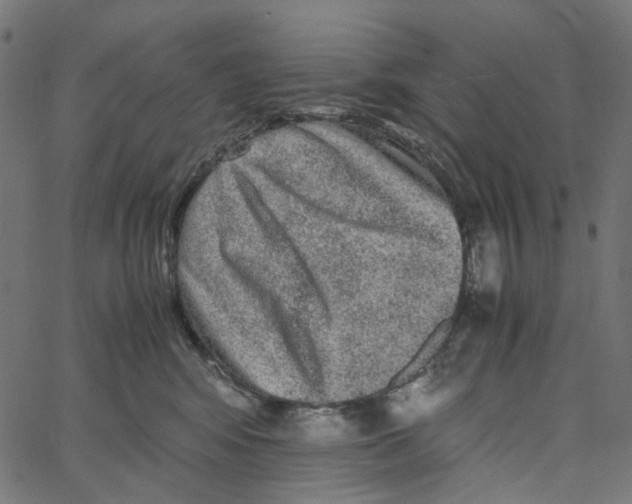 X0000067360424200604281730