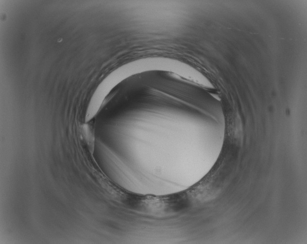 X0000067360425200604281730
