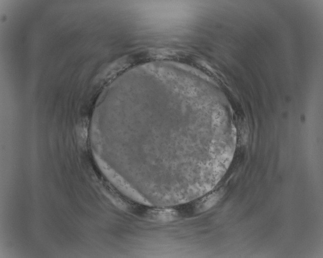 X0000067360427200604281730