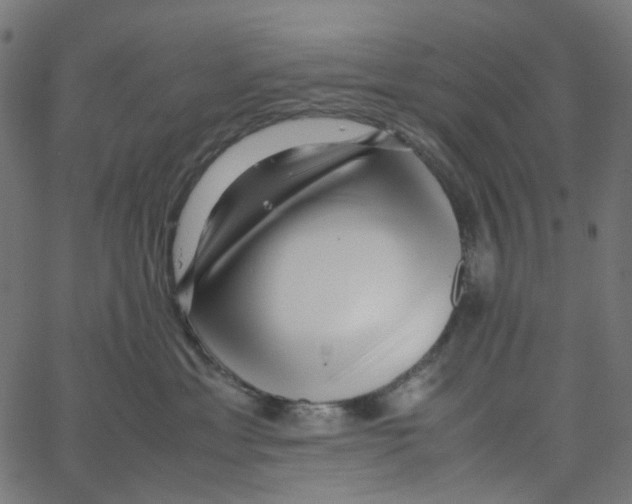 X0000067360429200604281730
