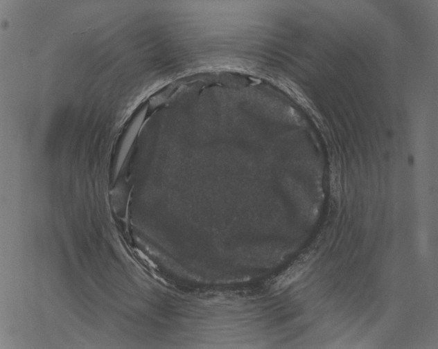X0000067360434200604281729