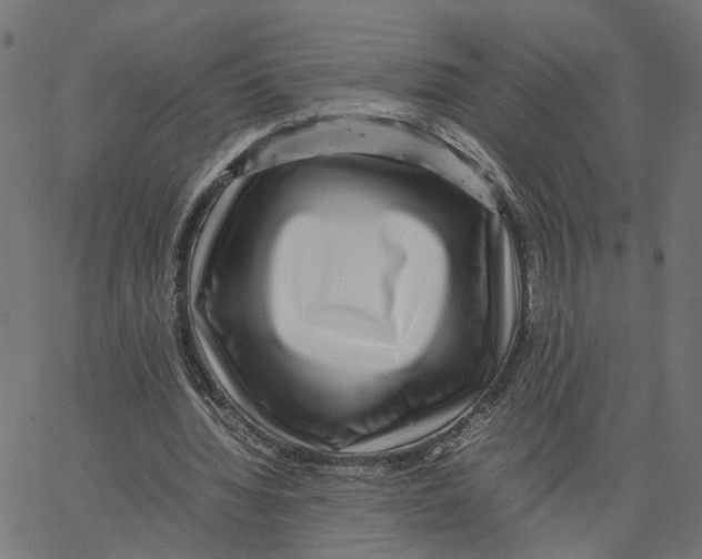 X0000067360436200604281729