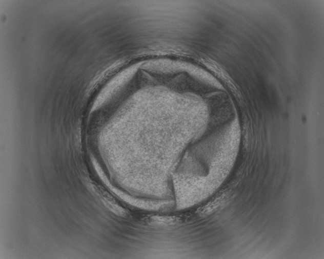 X0000067360442200604281729