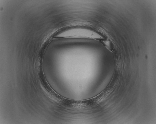 X0000067360448200604281729