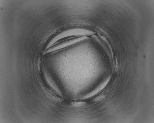 X0000067360452200604281729