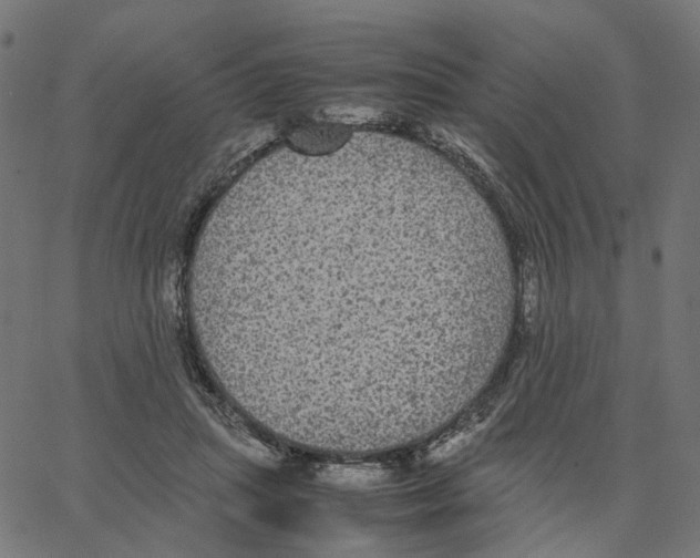 X0000067360455200604281729