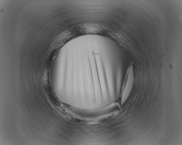 X0000067360456200604281729