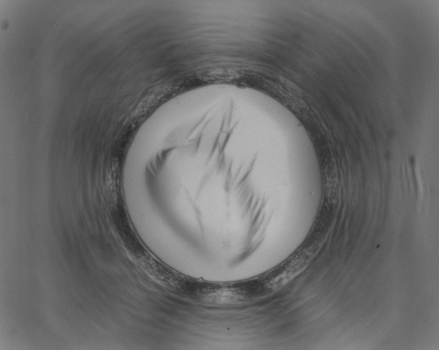 X0000067360460200604281729