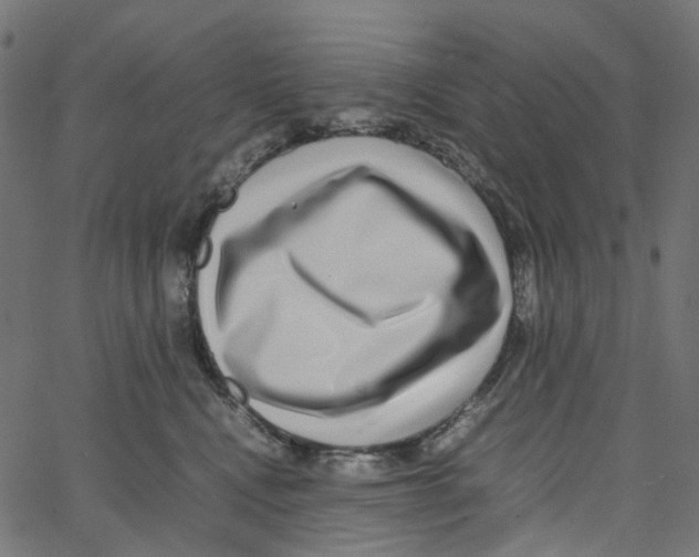 X0000067360472200604281730