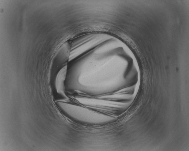 X0000067360481200604281729