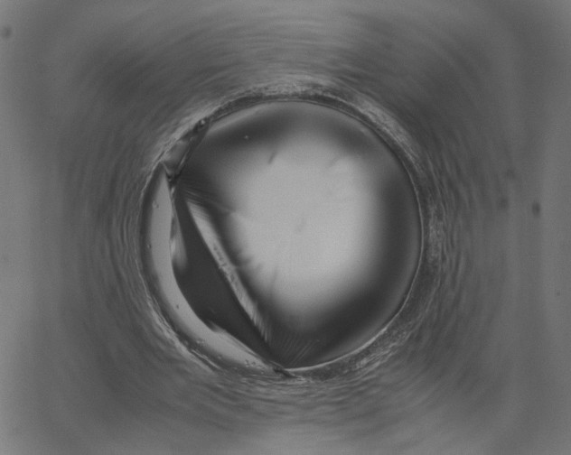 X0000067360485200604281729
