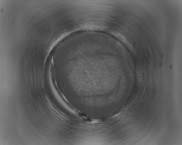 X0000067360488200604281729