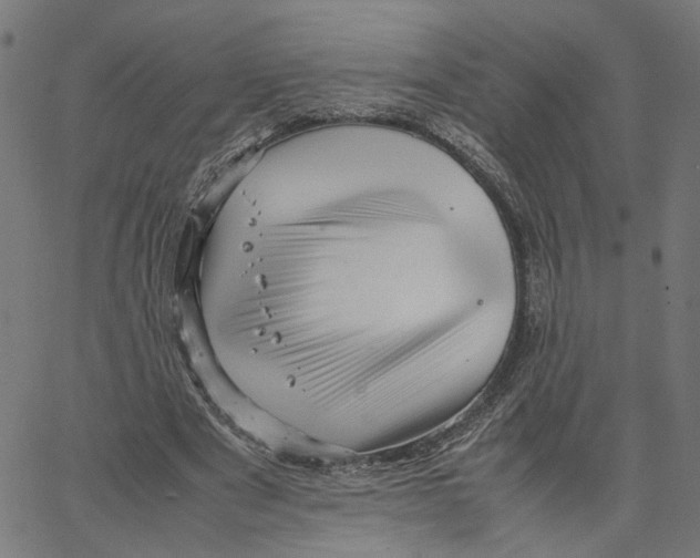 X0000067360489200604281729