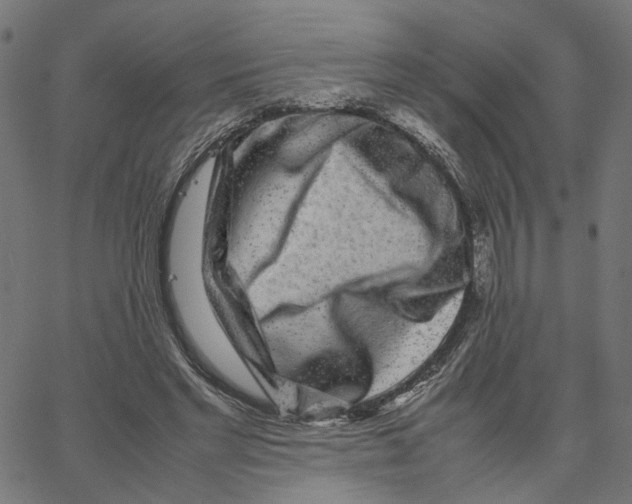 X0000067360493200604281729
