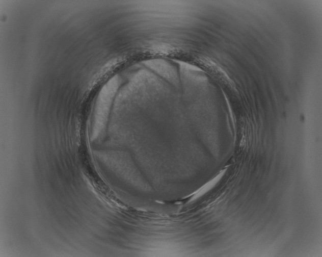X0000067360496200604281729