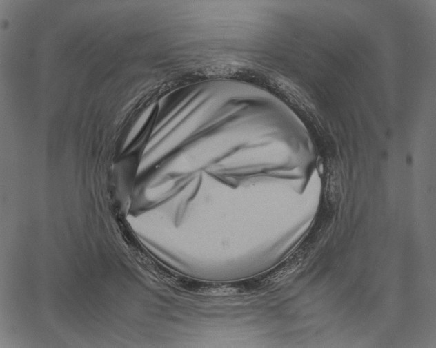 X0000067360501200604281729