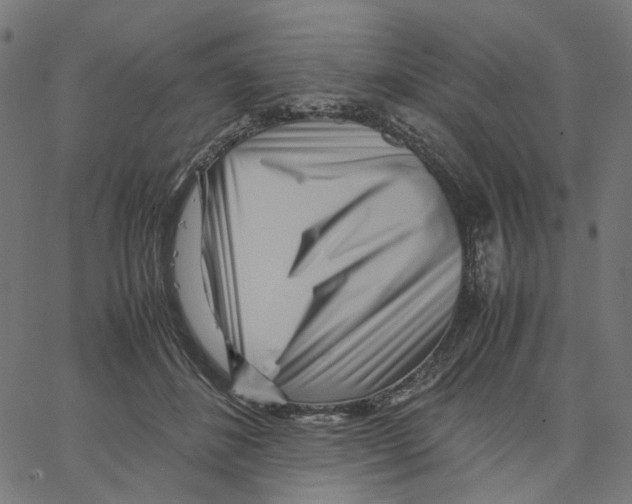 X0000067360508200604281729